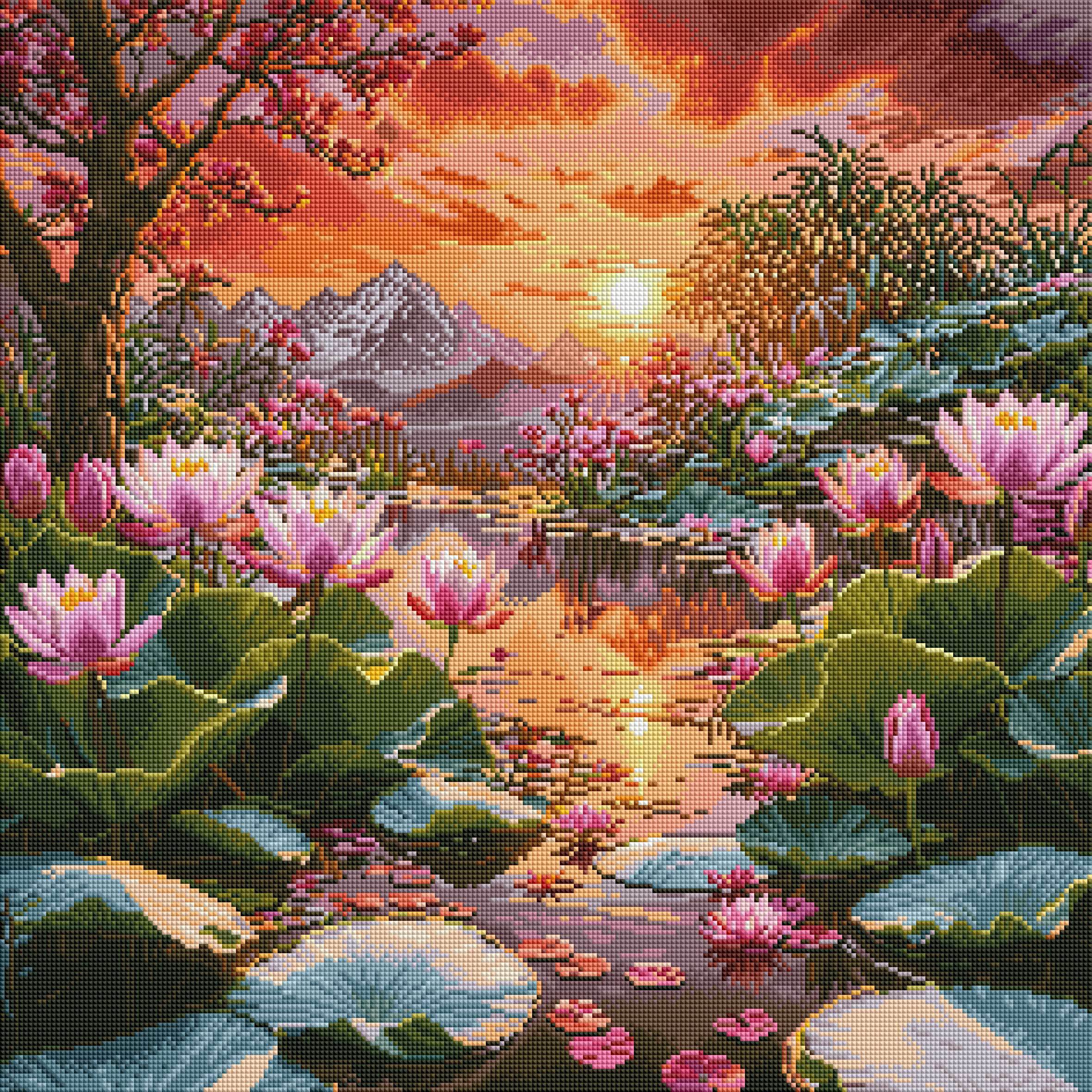 Lotus Sunset