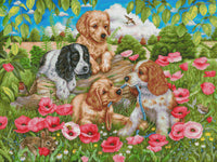 Dogs in Poppy Field