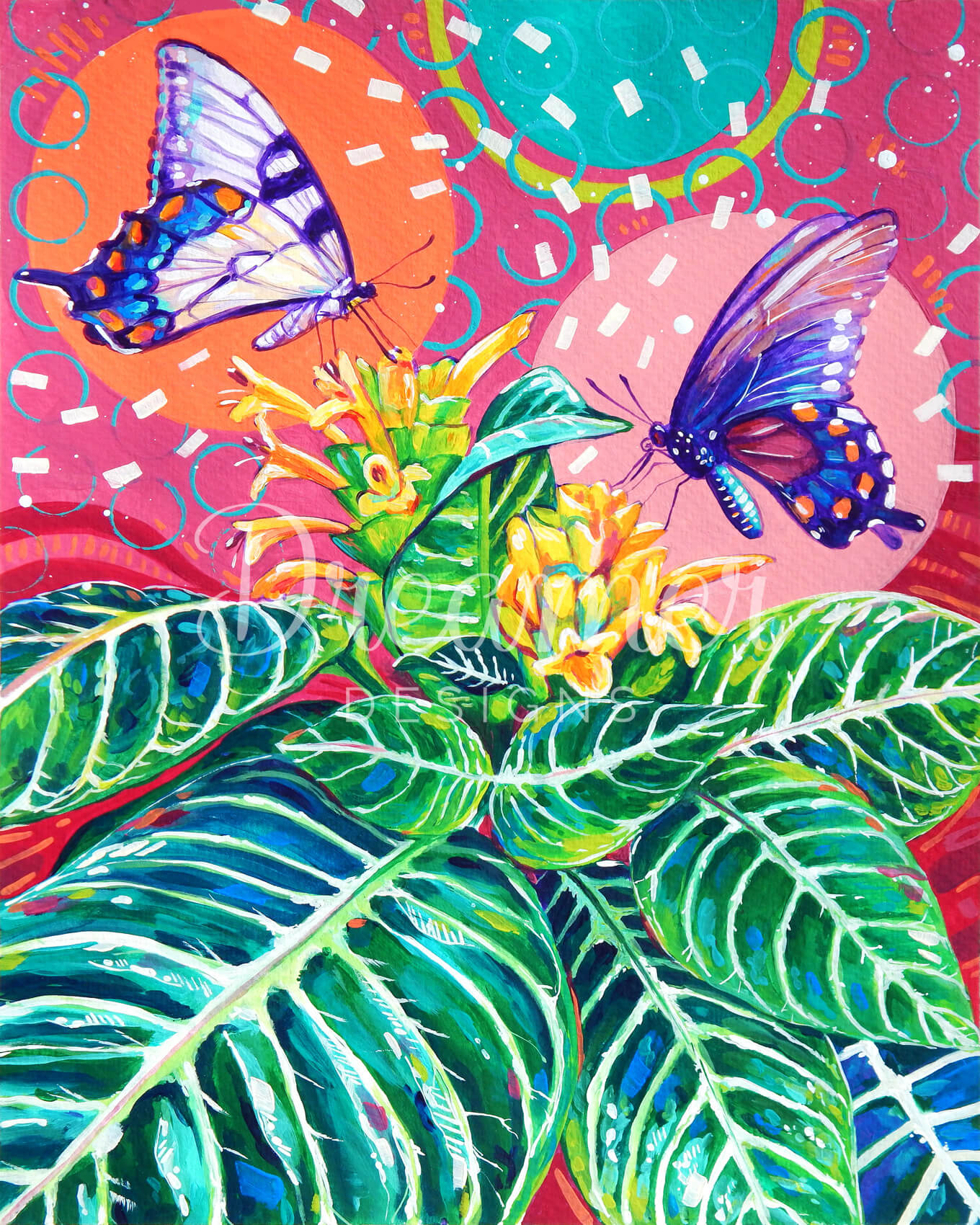 Aphelandra Zebra and Butterflies