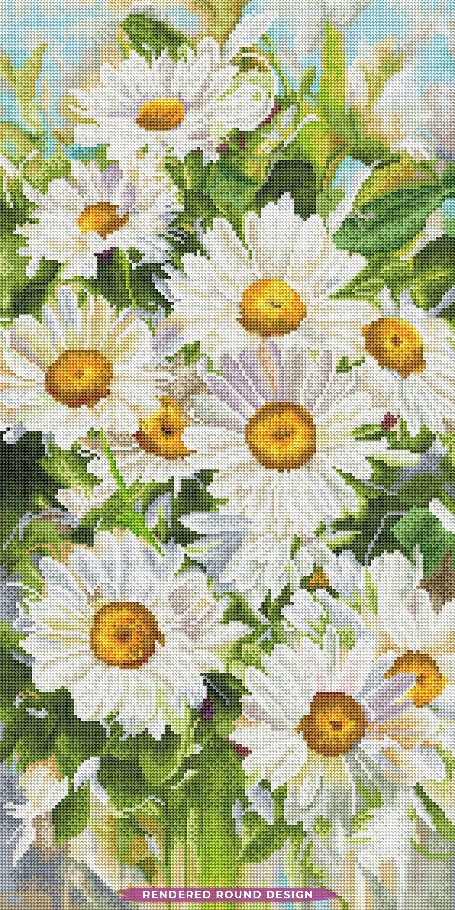 Dainty Daisies