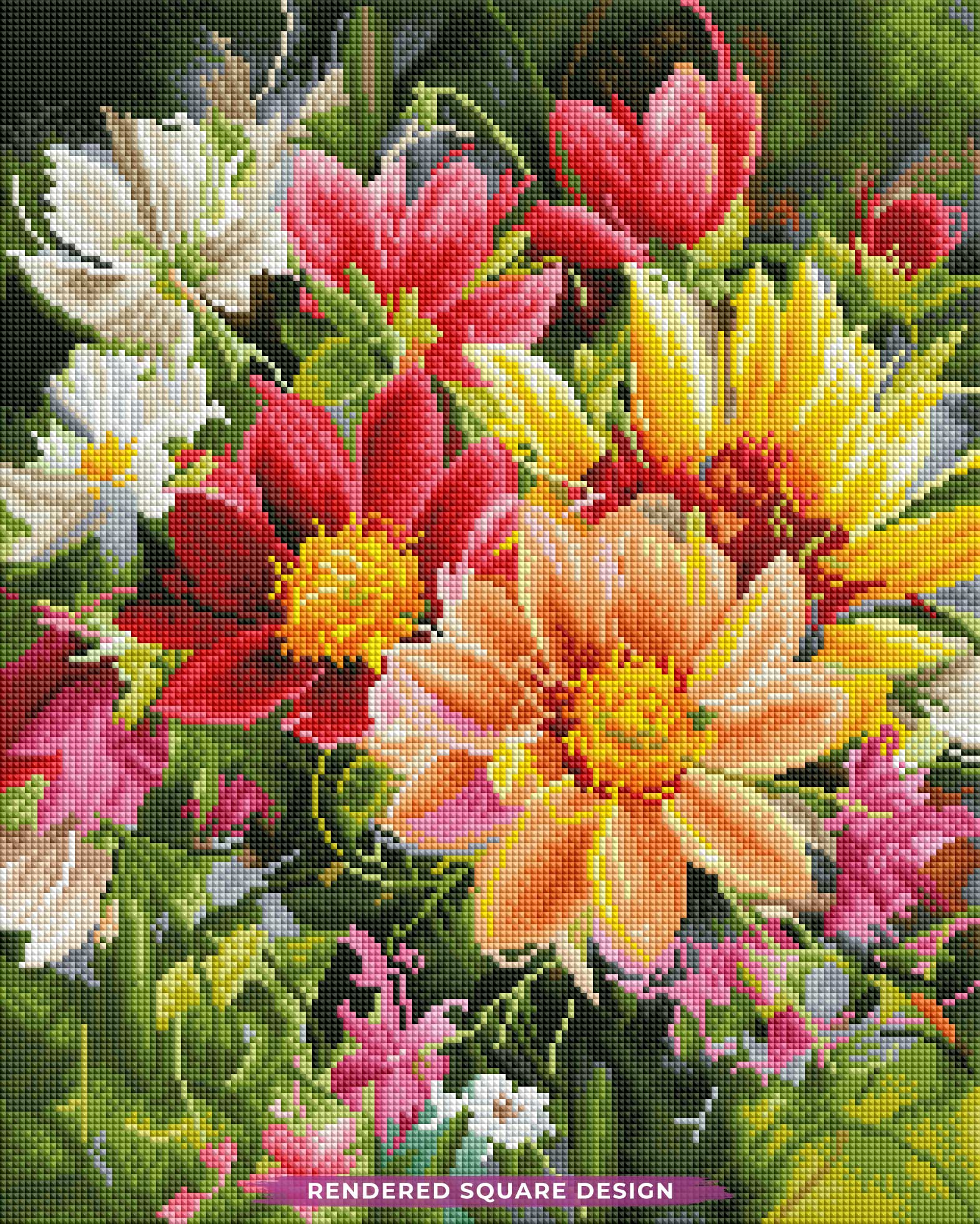 Garden Dahlias