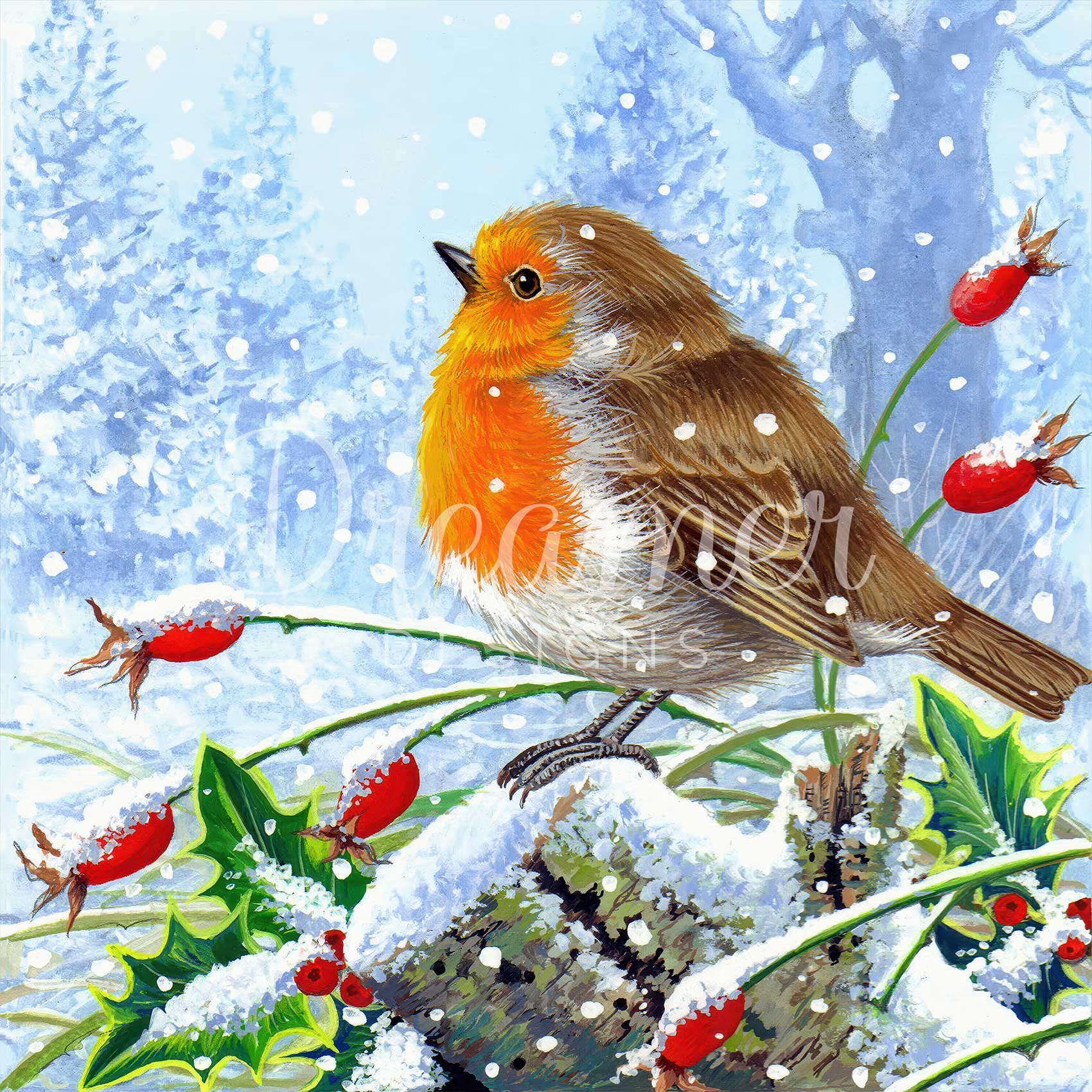 Winter Robin
