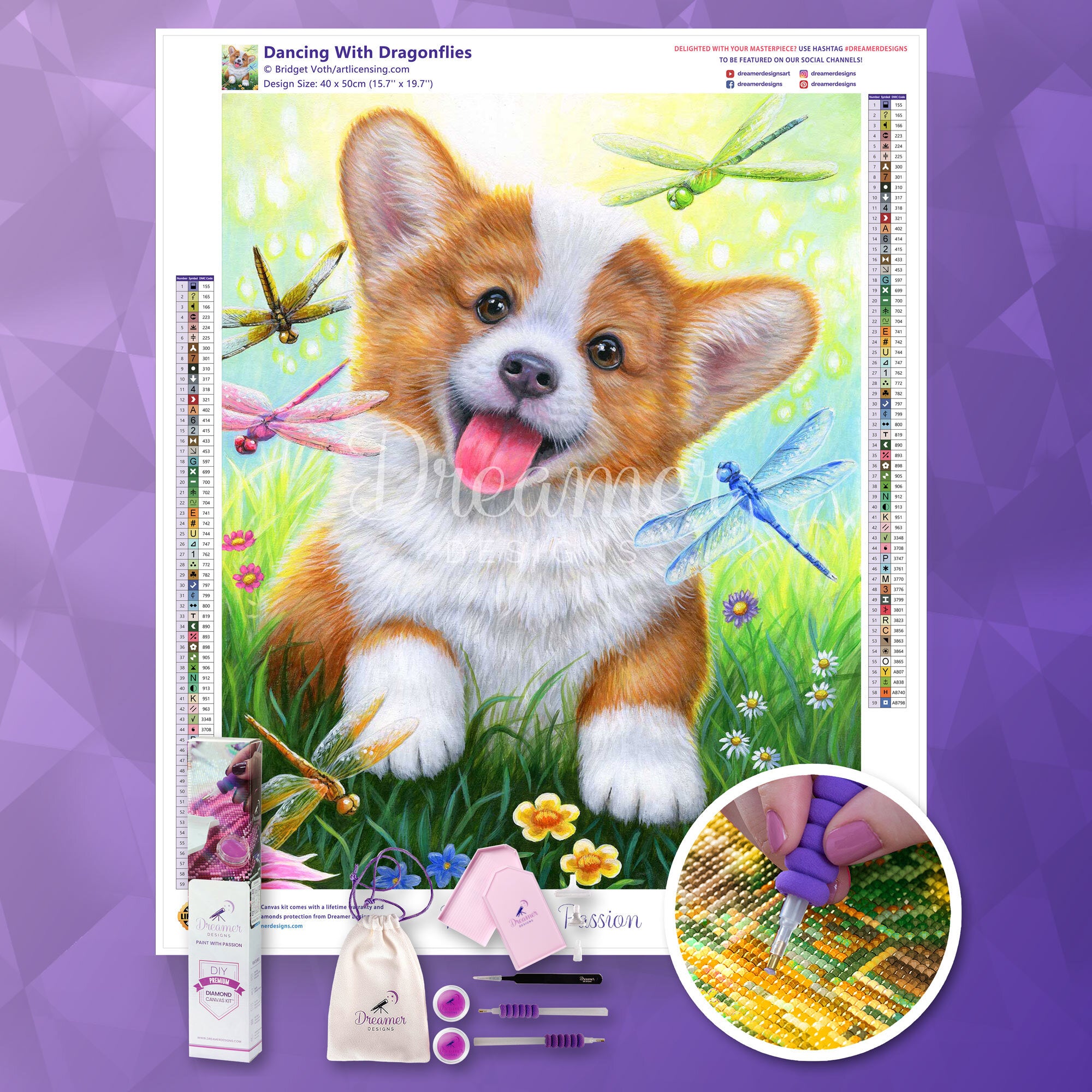 Dancing With Dragonflies