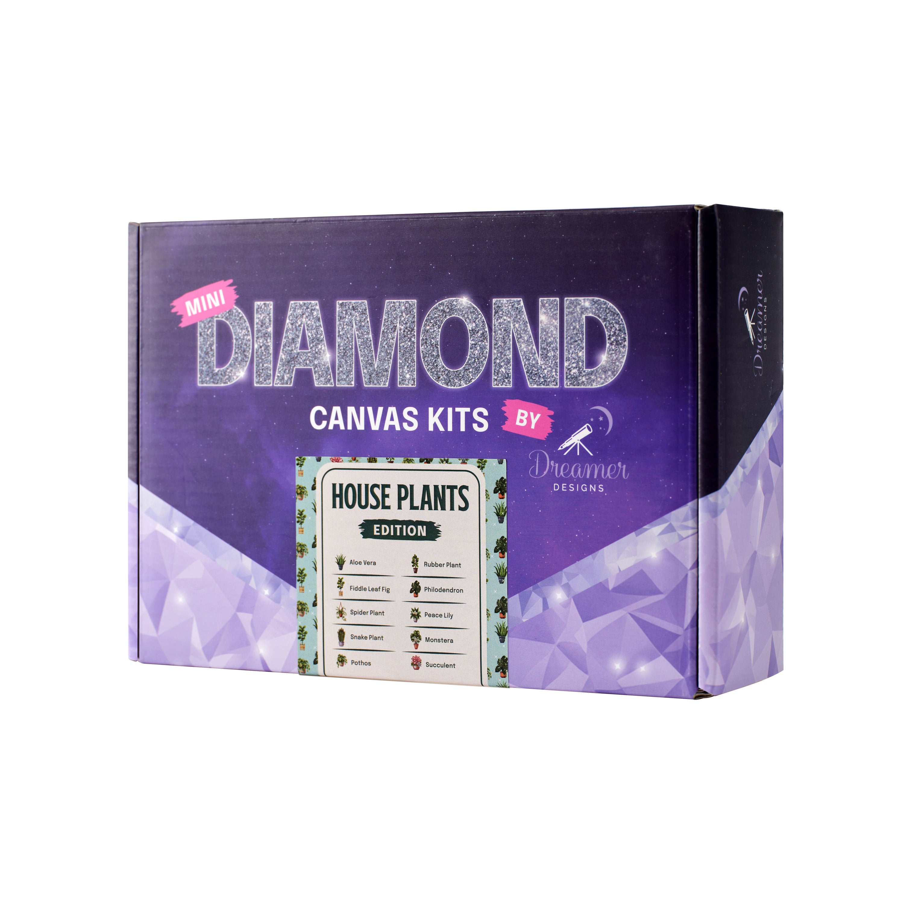 Mini Kits - House Plants Edition