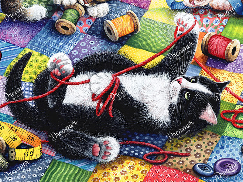 Playing With Wool