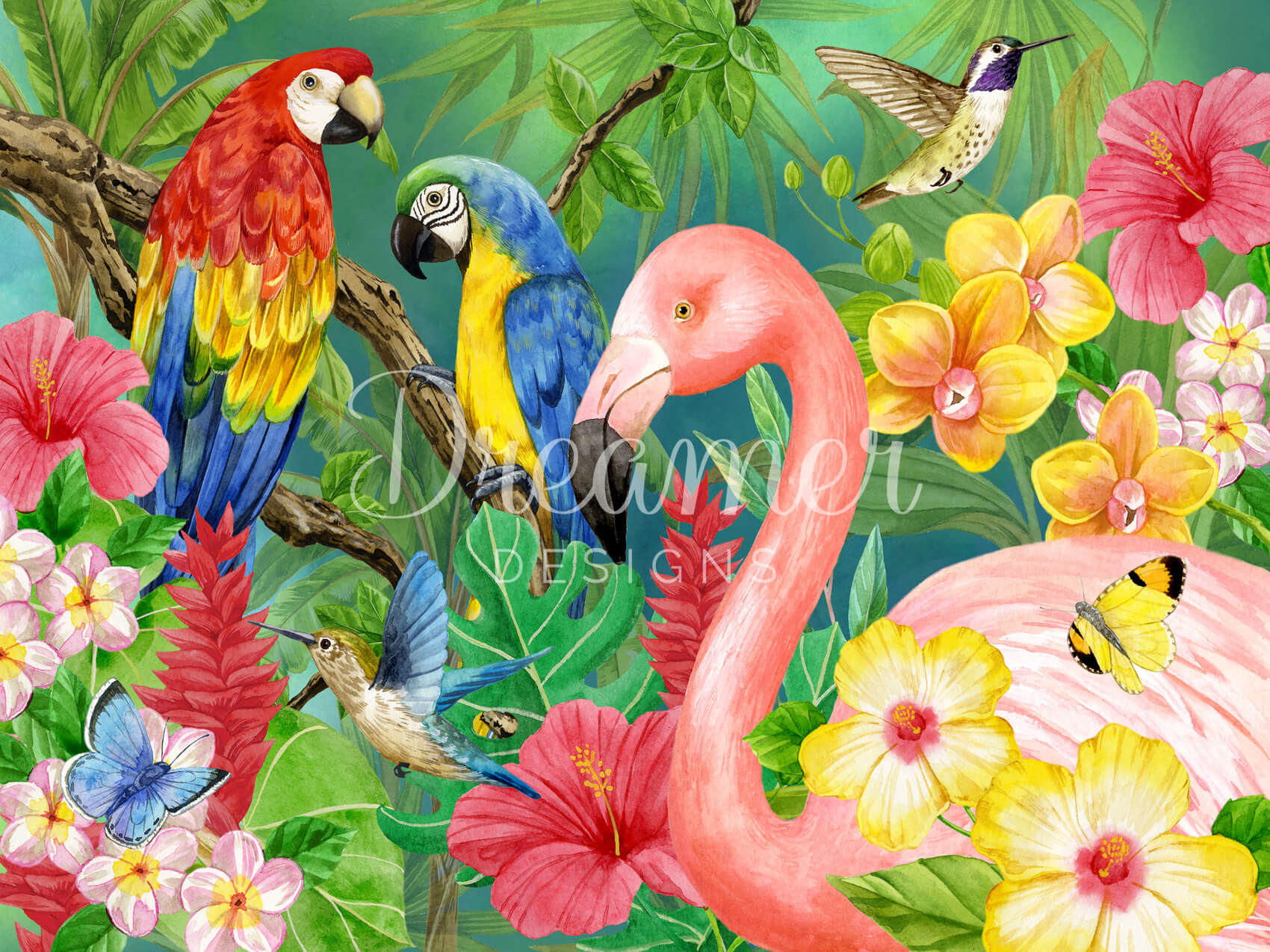 Tropical Birds