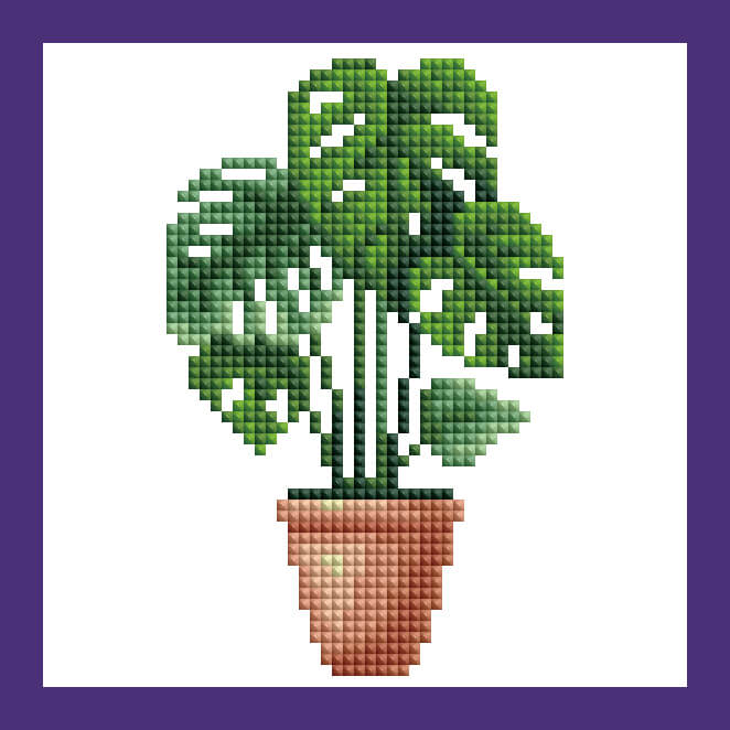 Mini Kits - House Plants Edition