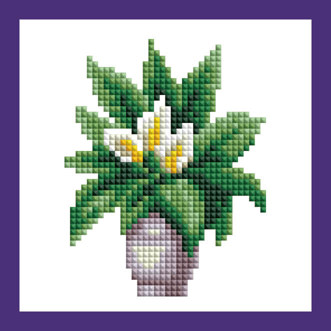 Mini Kits - House Plants Edition