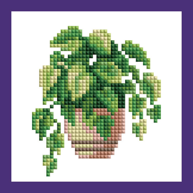 Mini Kits - House Plants Edition