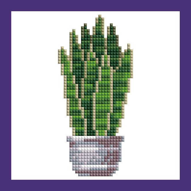 Mini Kits - House Plants Edition