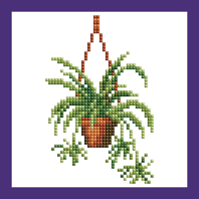 Mini Kits - House Plants Edition