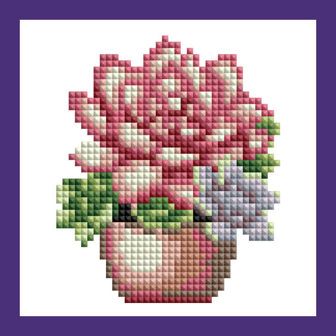 Mini Kits - House Plants Edition