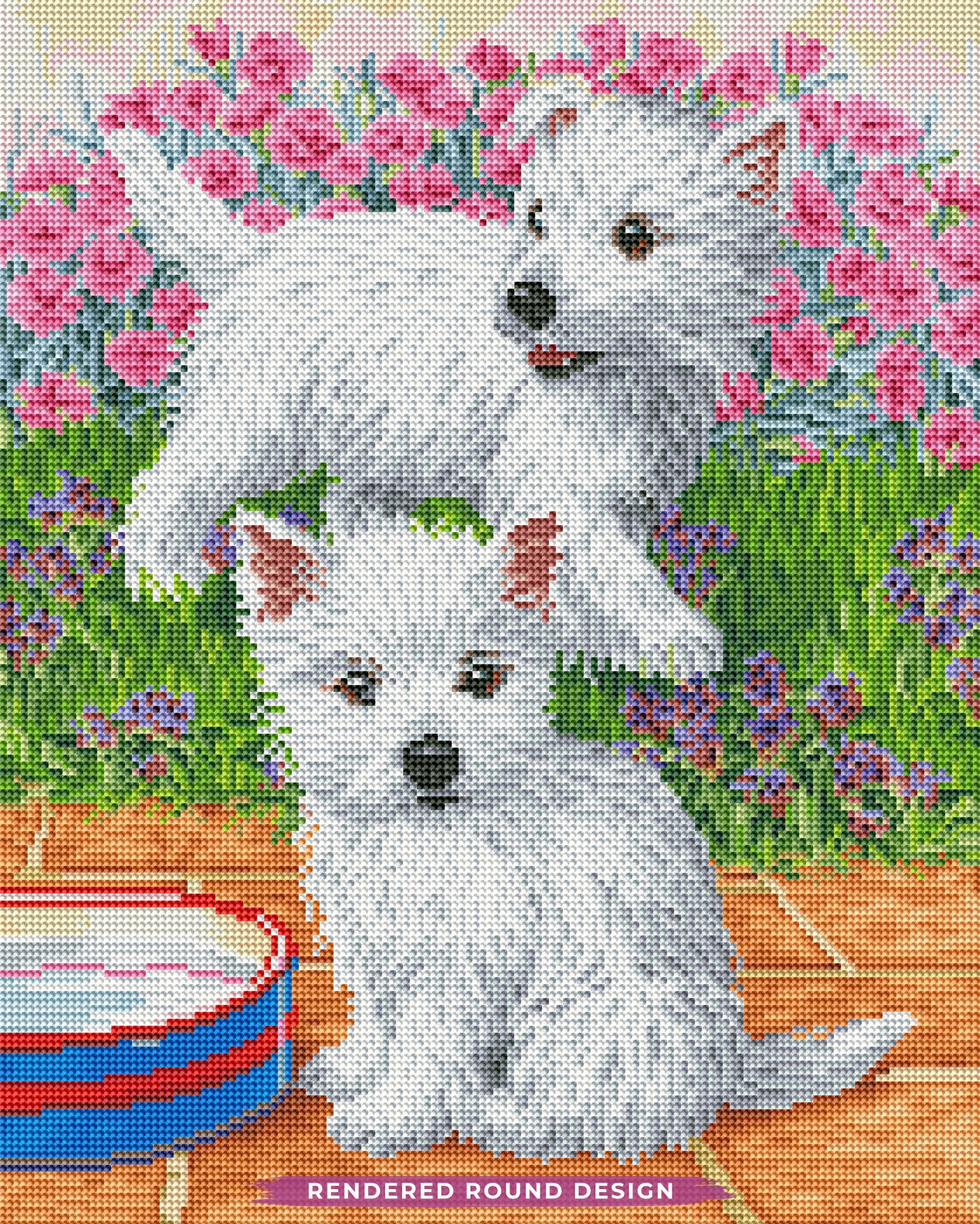 Westie Pups