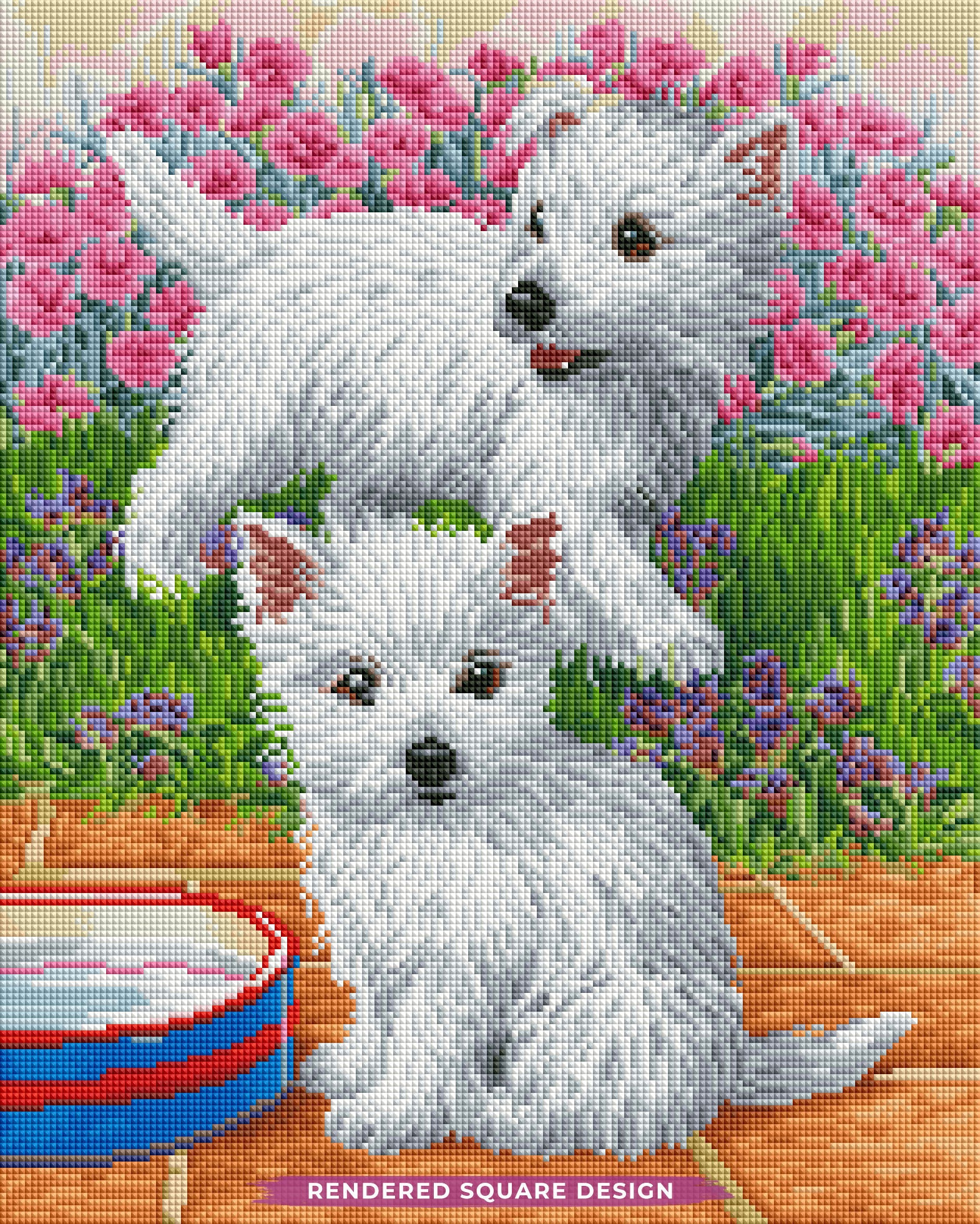 Westie Pups