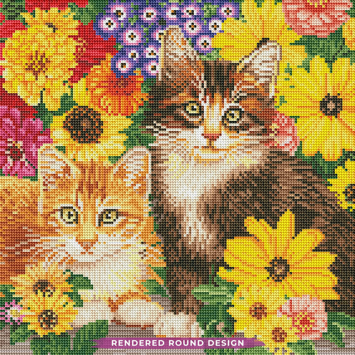 Kitties And Flowers
