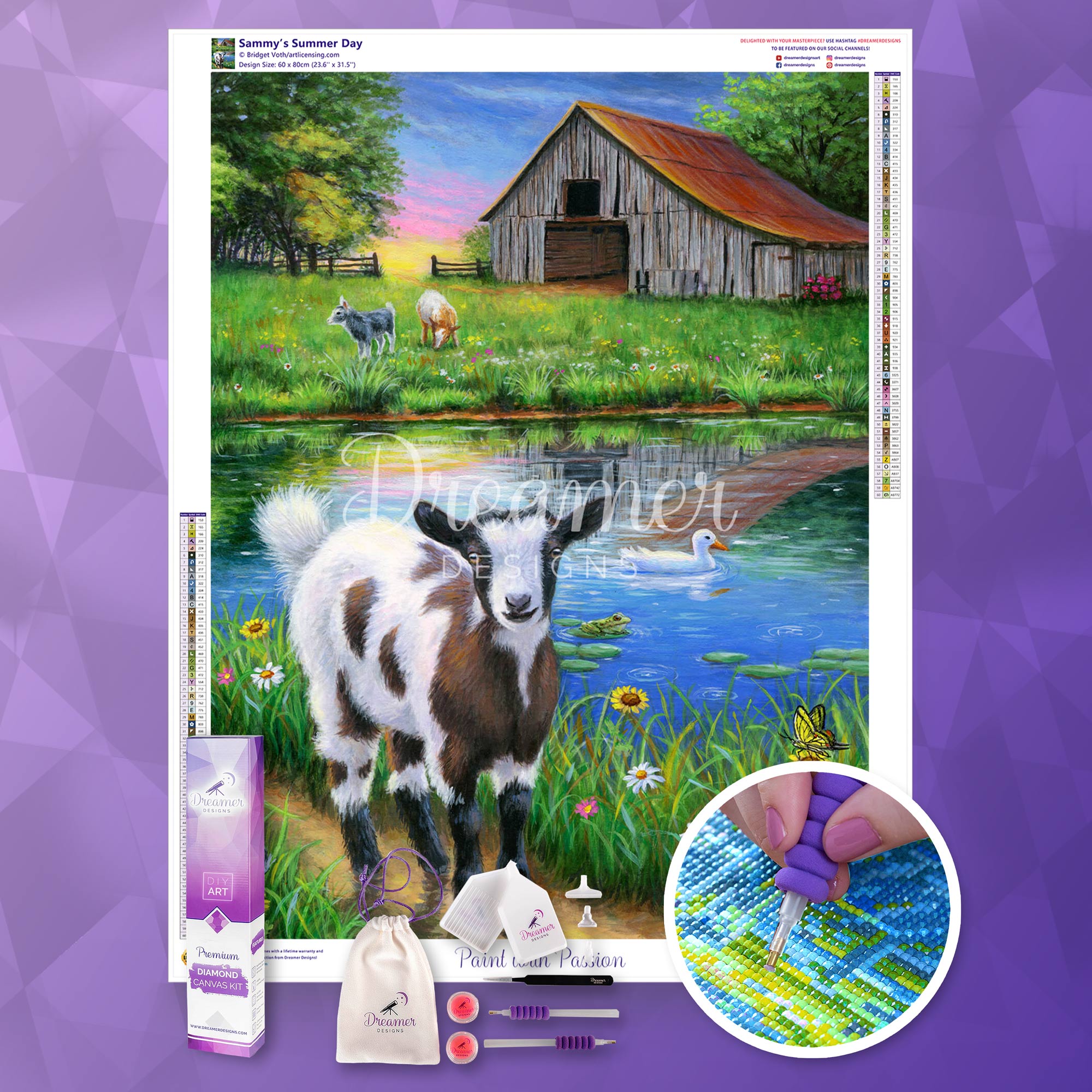 Sammy’s Summer Day