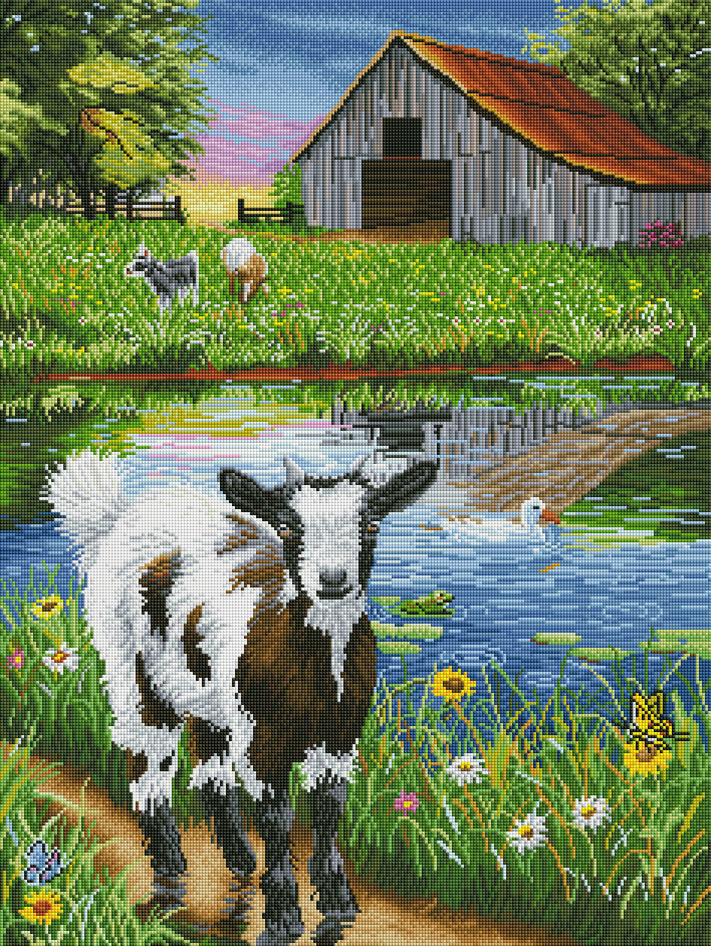 Sammy’s Summer Day