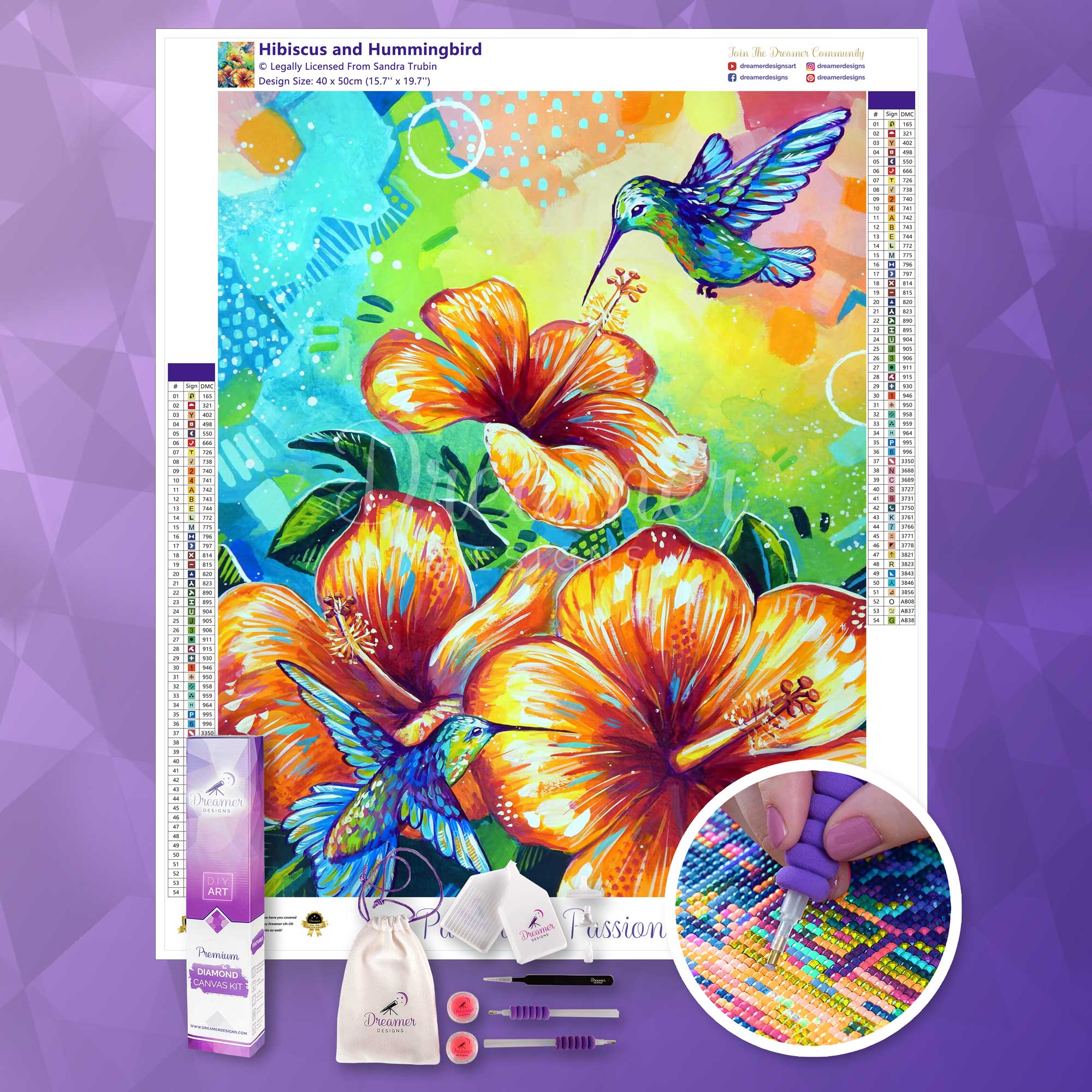 Hibiscus and Hummingbird