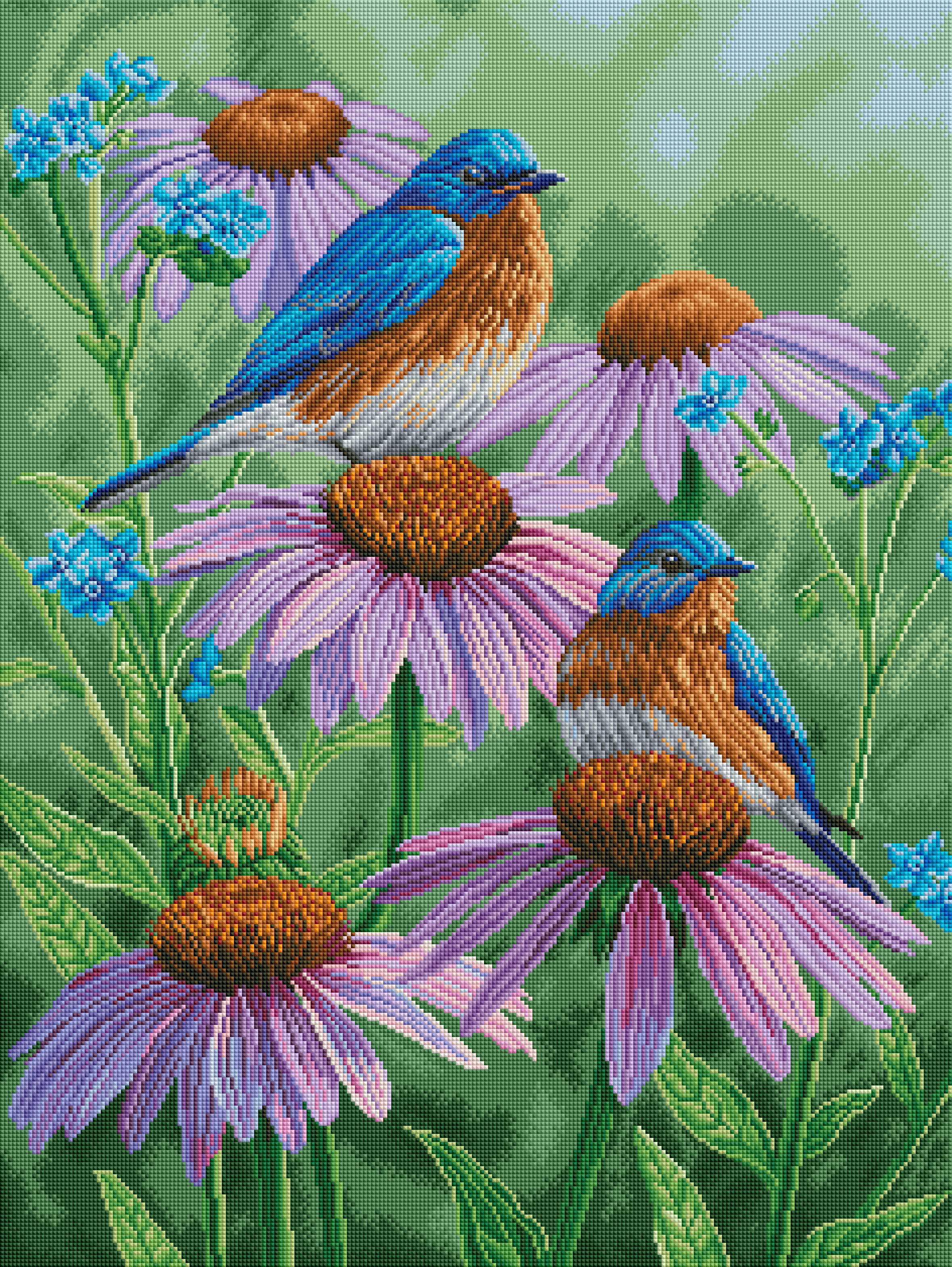 Bluebirds of Summer