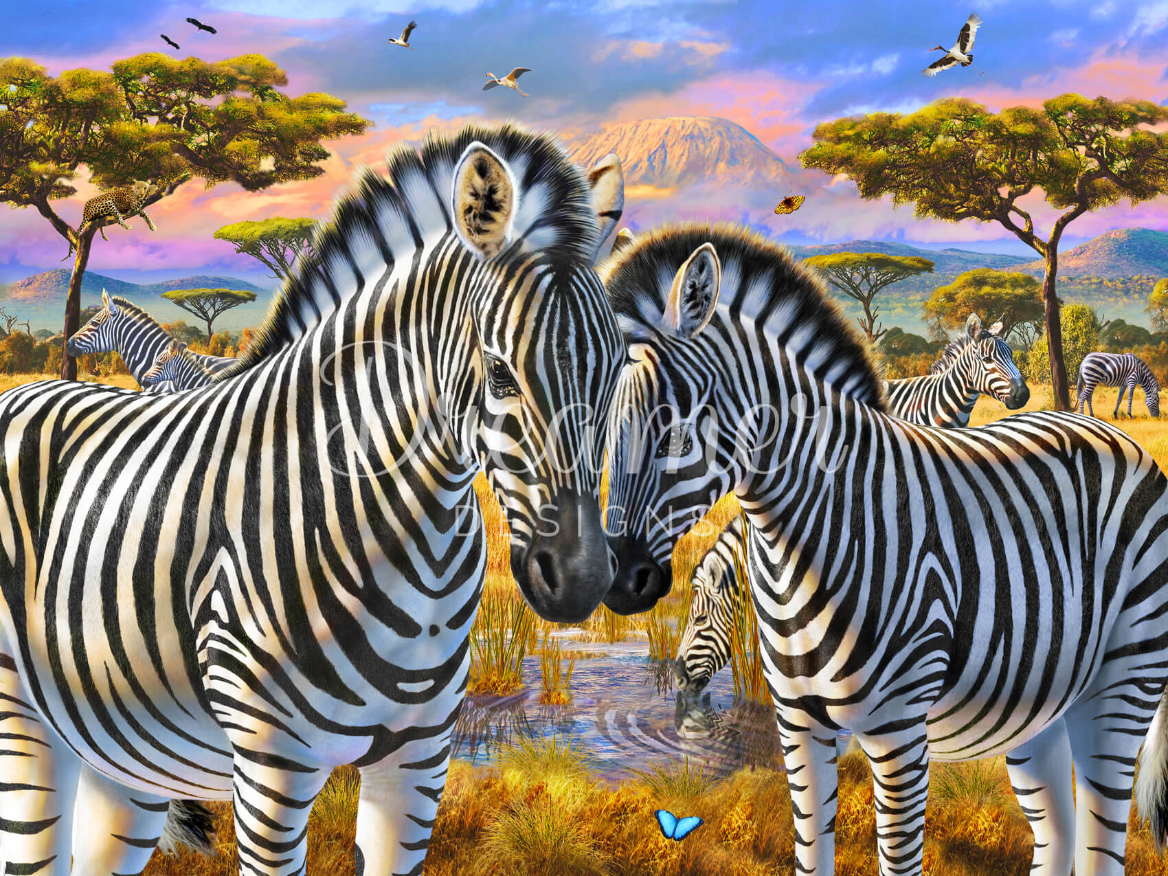 Loving Zebras