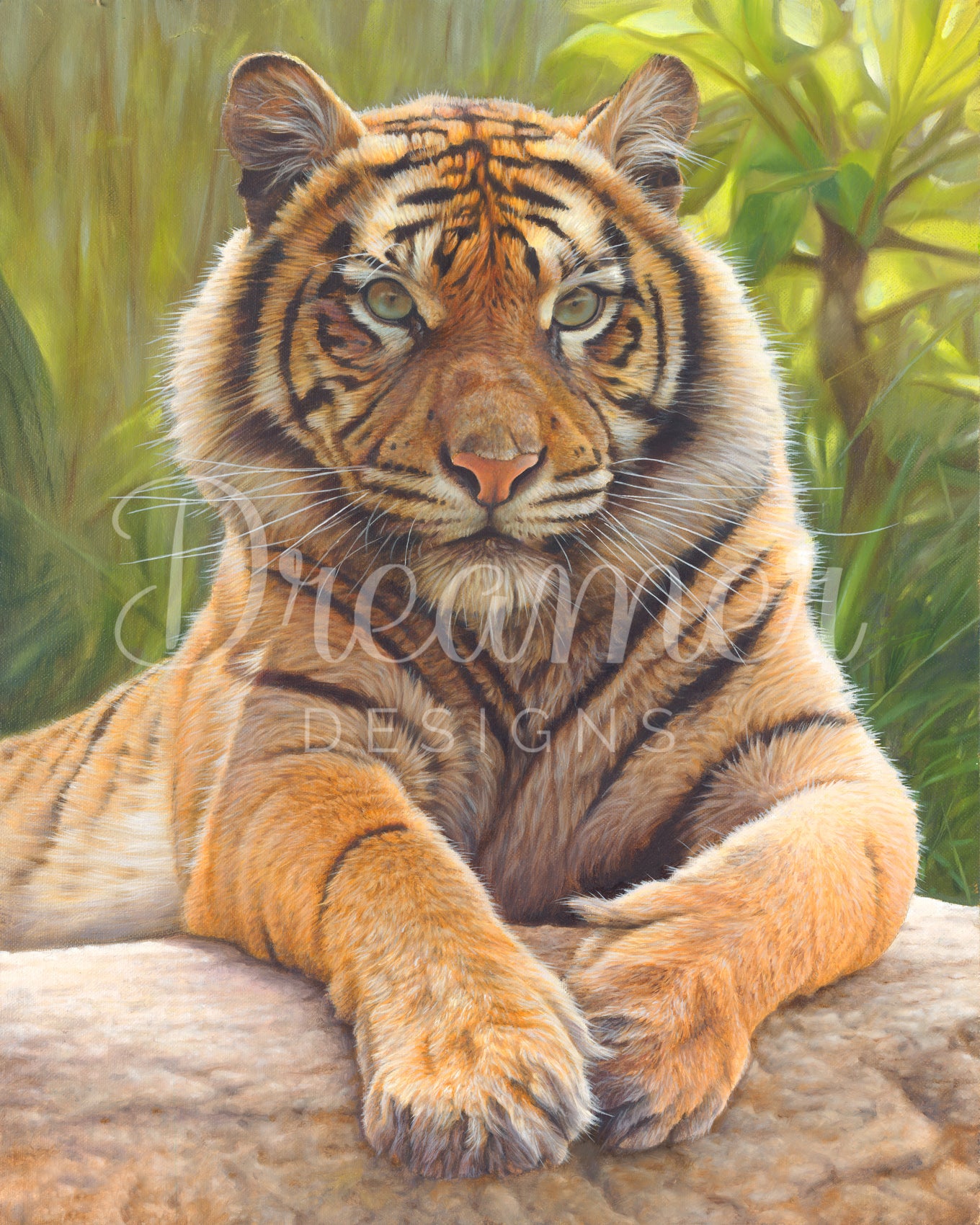 Sumatran Tiger