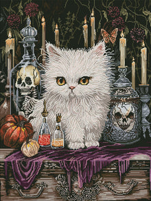 Mortician’s Assistant