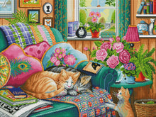 Cat Nap Corner