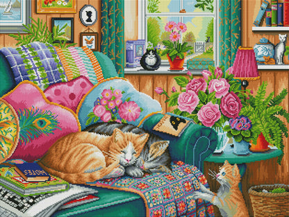 Cat Nap Corner