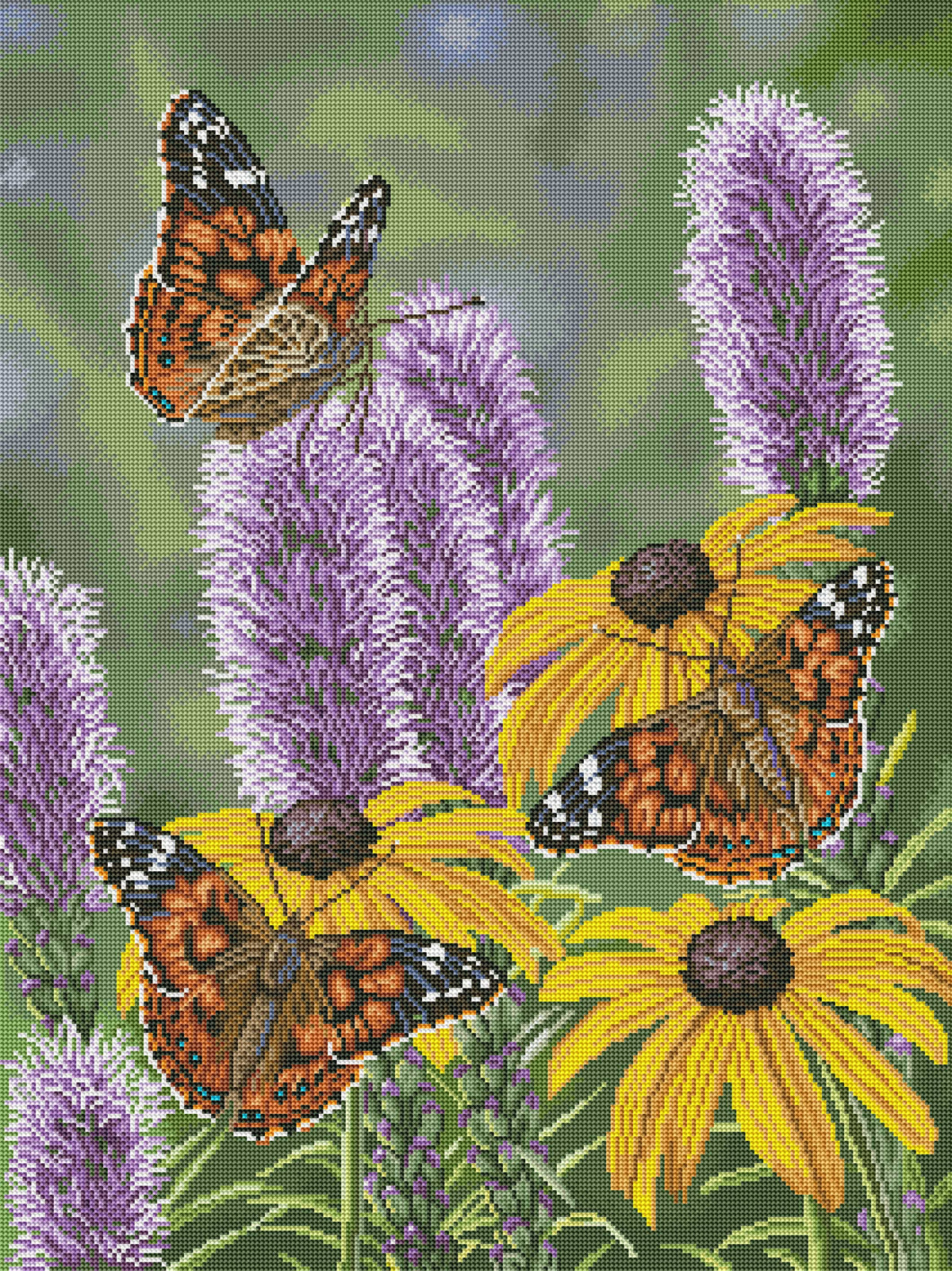 Painted Ladies