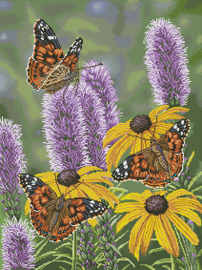 Painted Ladies