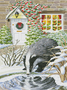Curious Badger