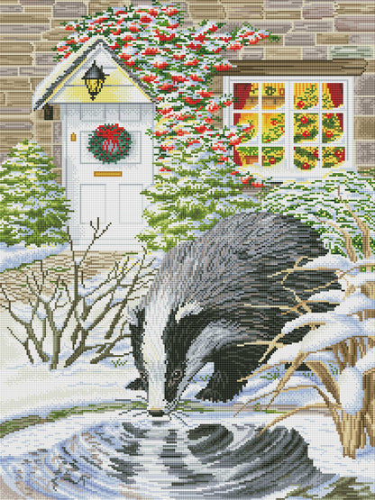 Curious Badger