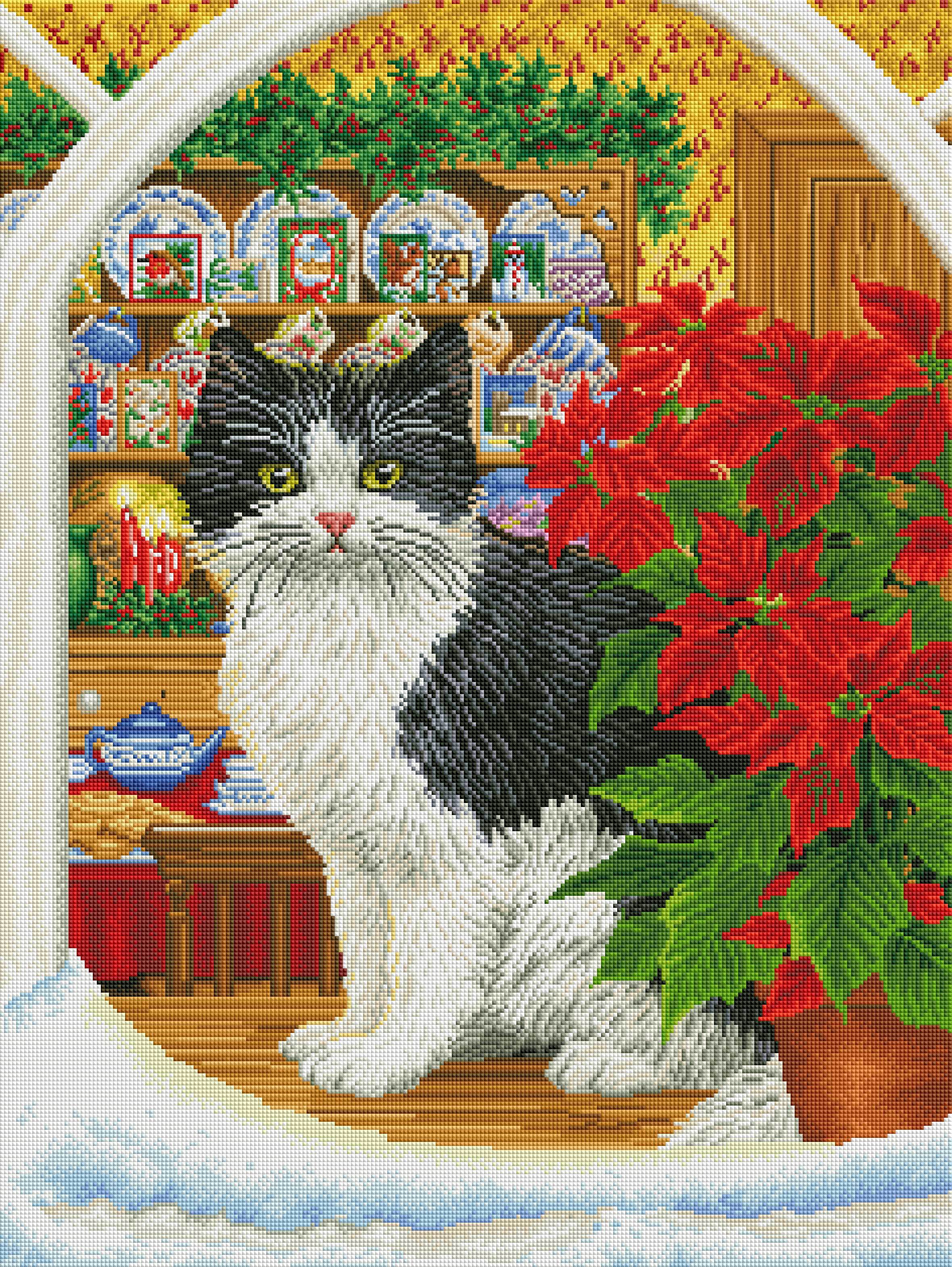 Poinsettia Purr