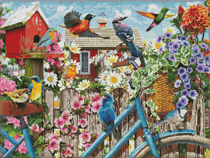 Spring Birds