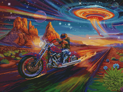 Desert Race