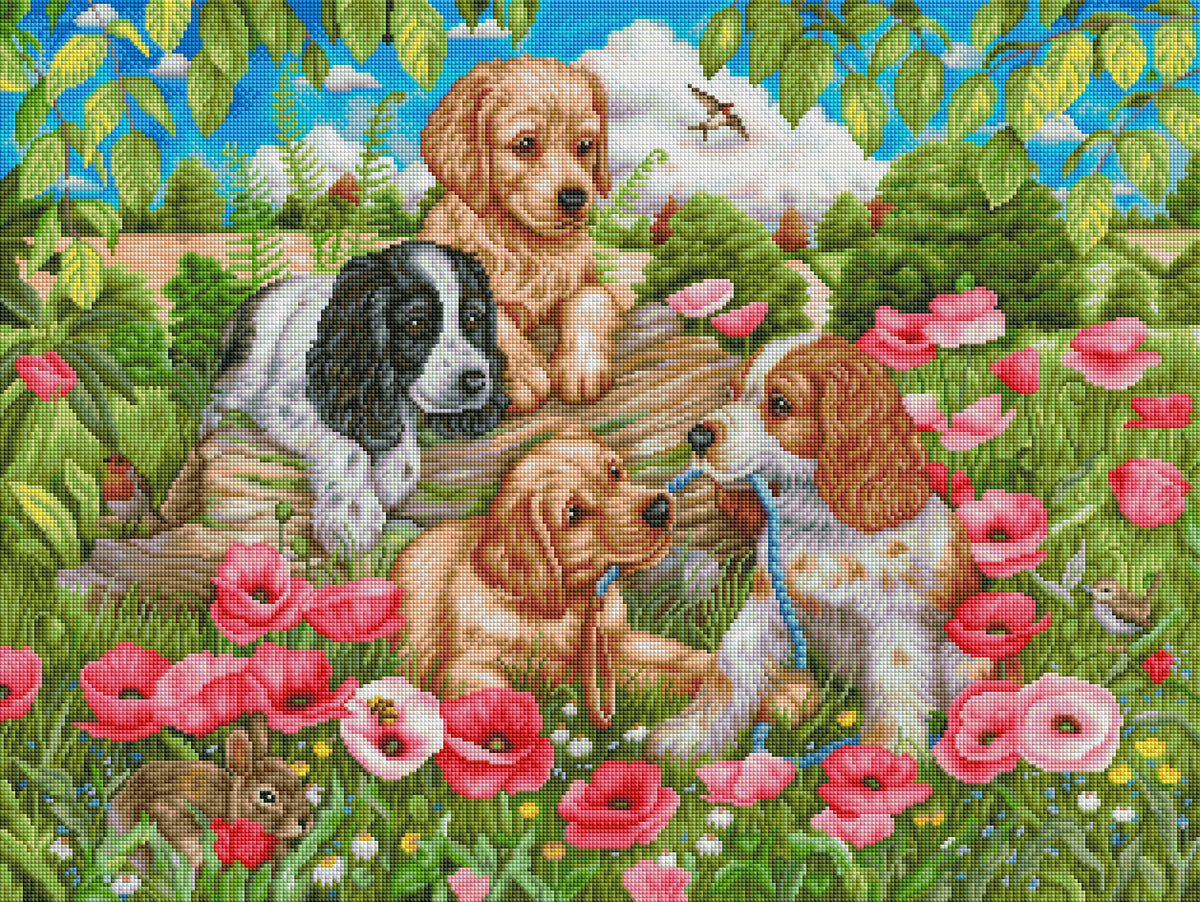 Dogs in Poppy Field