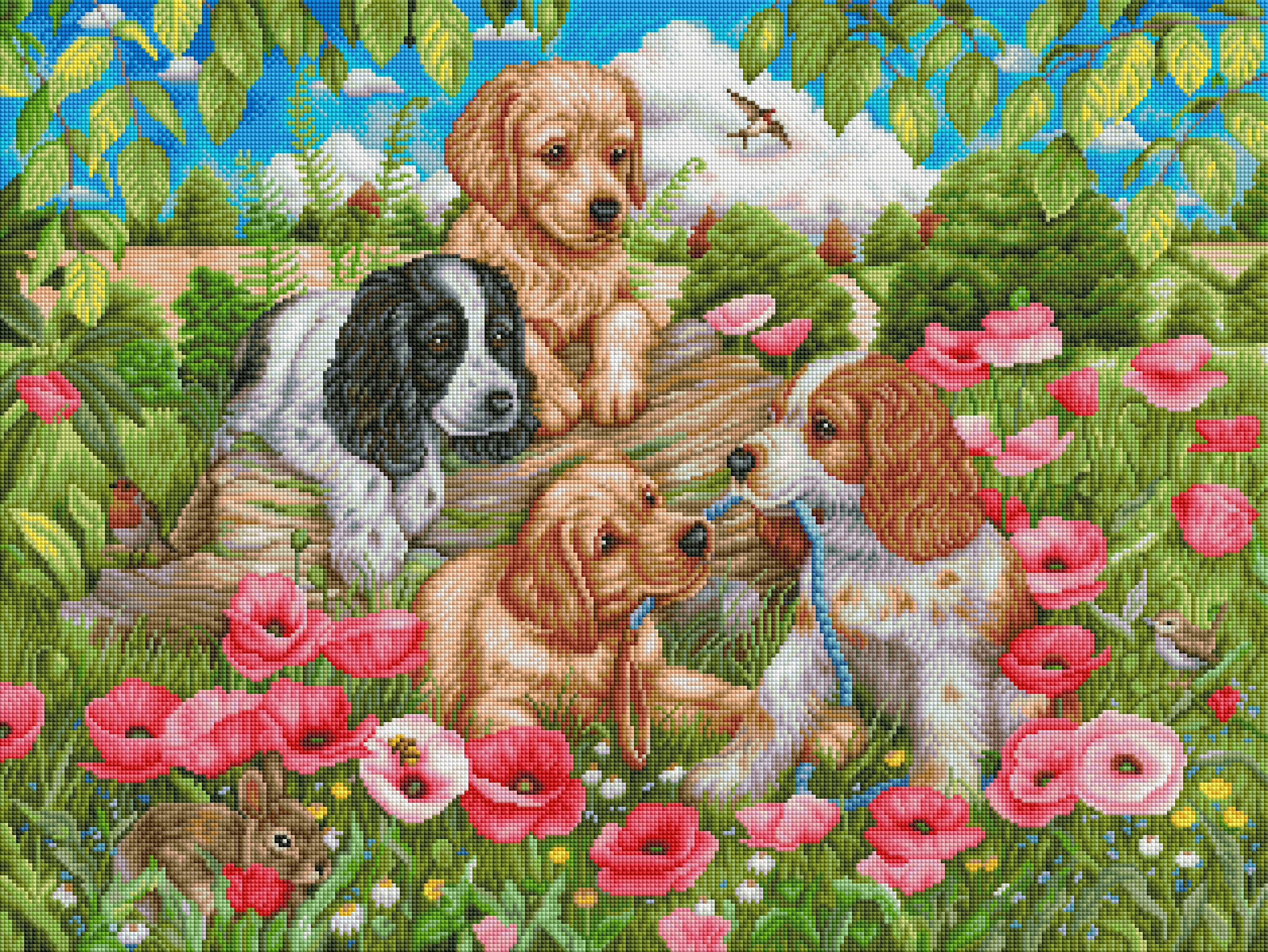 Dogs in Poppy Field