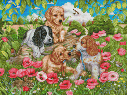 Dogs in Poppy Field