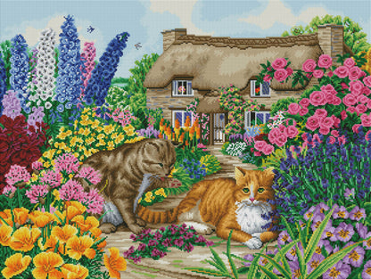 Cats and Cottage