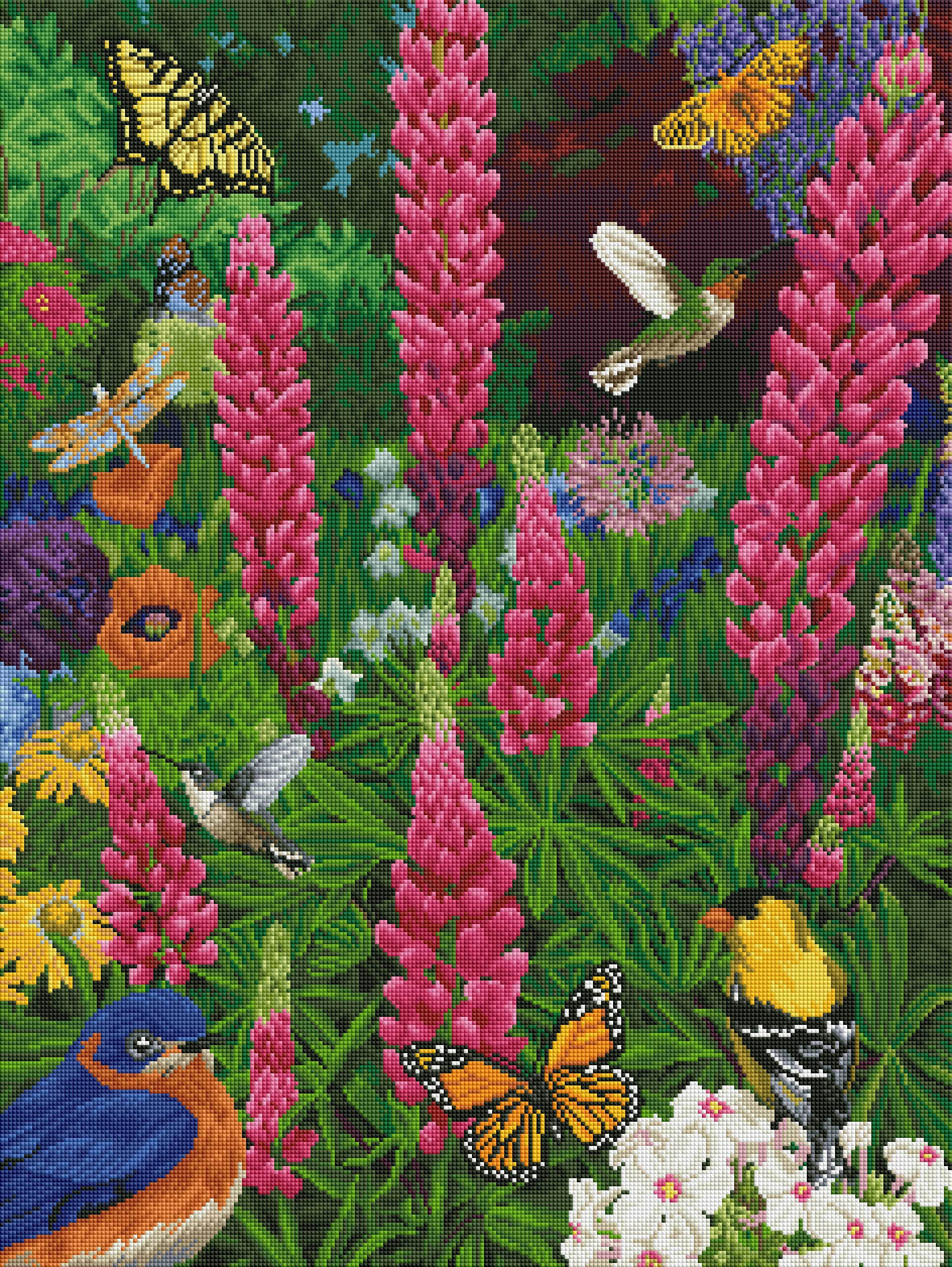 Lupine Garden