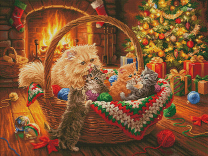 Purrfect Christmas Eve