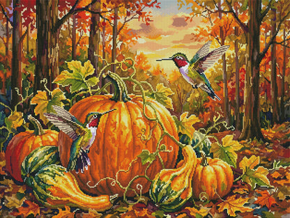 Harvest Hummingbirds