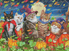 Moon Cats