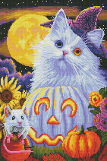 Boo’s Halloween
