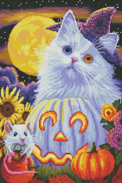 Boo’s Halloween