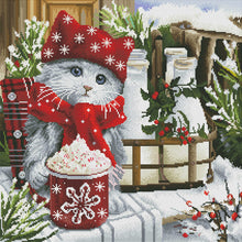 Cozy Kitten