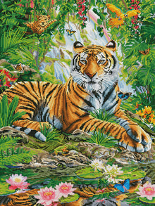 Tiger on a Rock