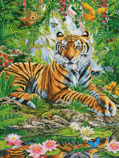 Tiger on a Rock