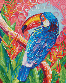 Toucan With Heliconia Flowers