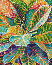Croton